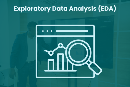 Exploratory Data Analysis (EDA)