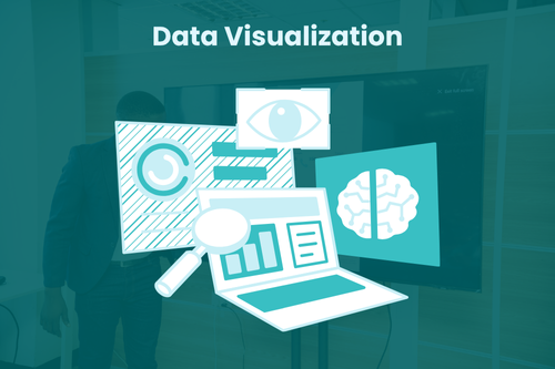 Data Visualization
