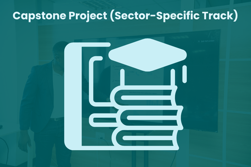Capstone Project (Sector-Specific Track)