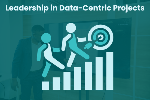 Leadership in Data-Centric Projects